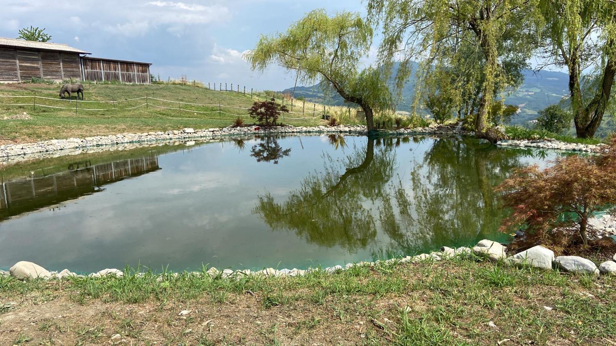 Agriturismo cergallina Vernasca Exterior foto